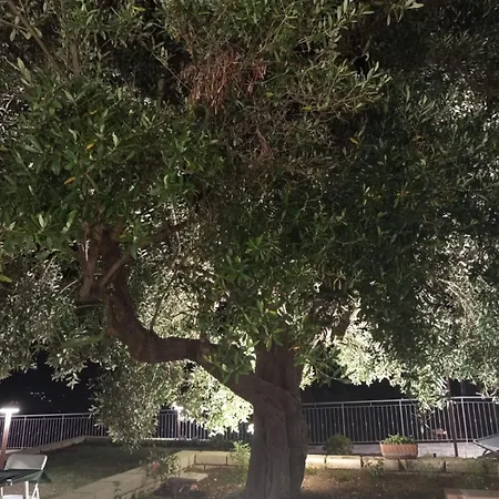 Frühstückspension Le Tre Civette Agropoli