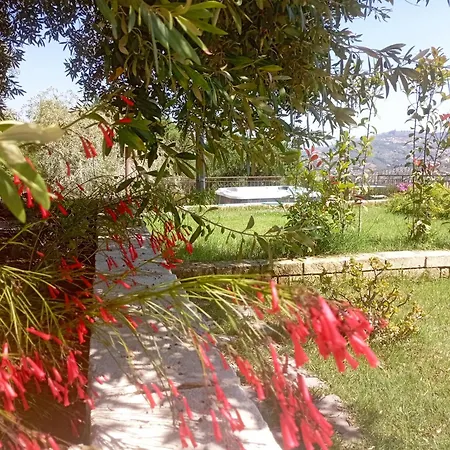Le Tre Civette Bed and Breakfast